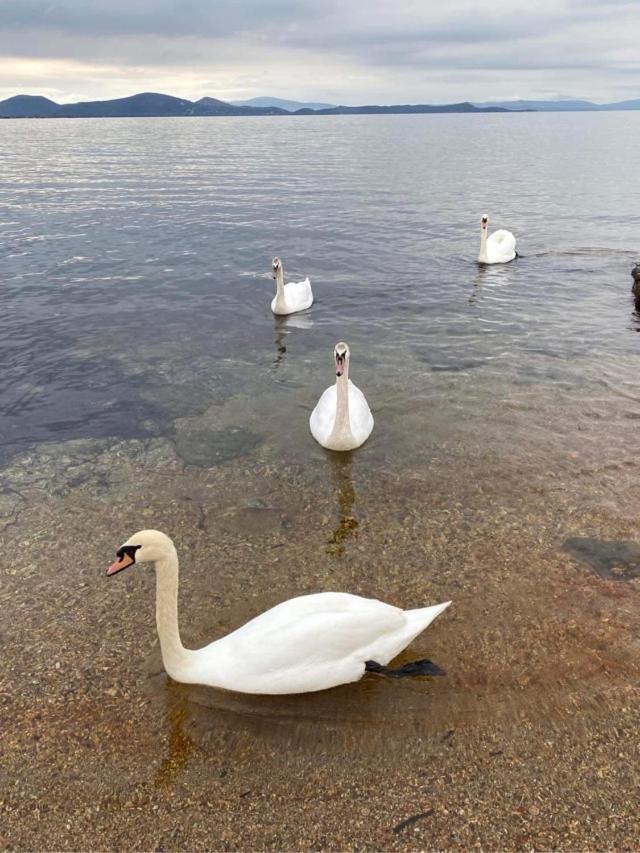 Zoumperi Cute And Cozy Close To Airport And Rafina Apartment
