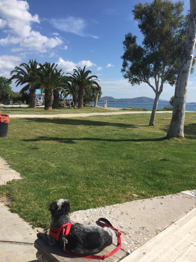 Zoumperi Cute And Cozy Close To Airport And Rafina Apartment Nea Makri
