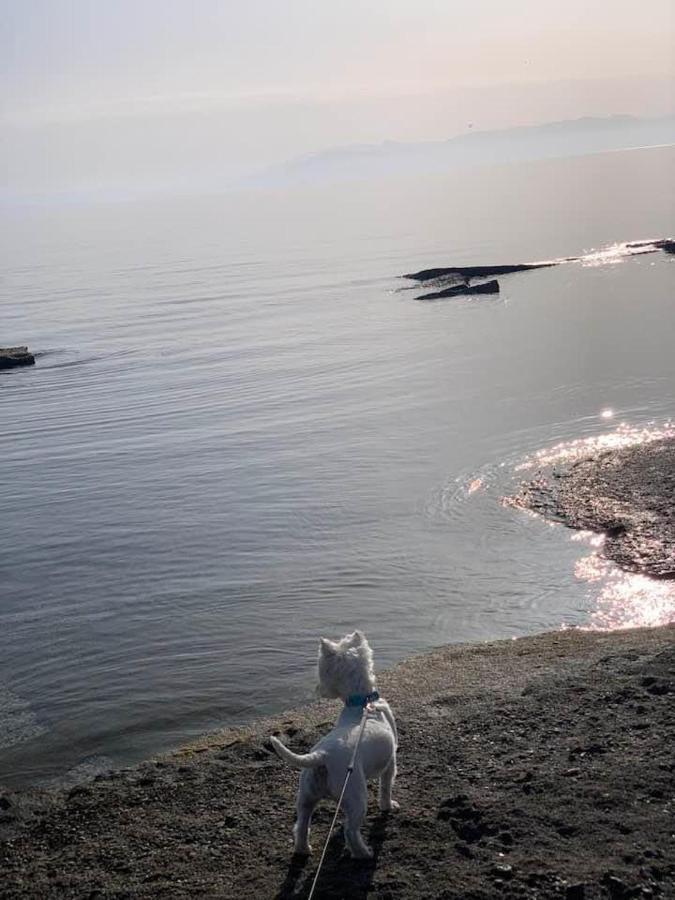 Apartment Zoumperi Cute And Cozy Close To Airport And Rafina *