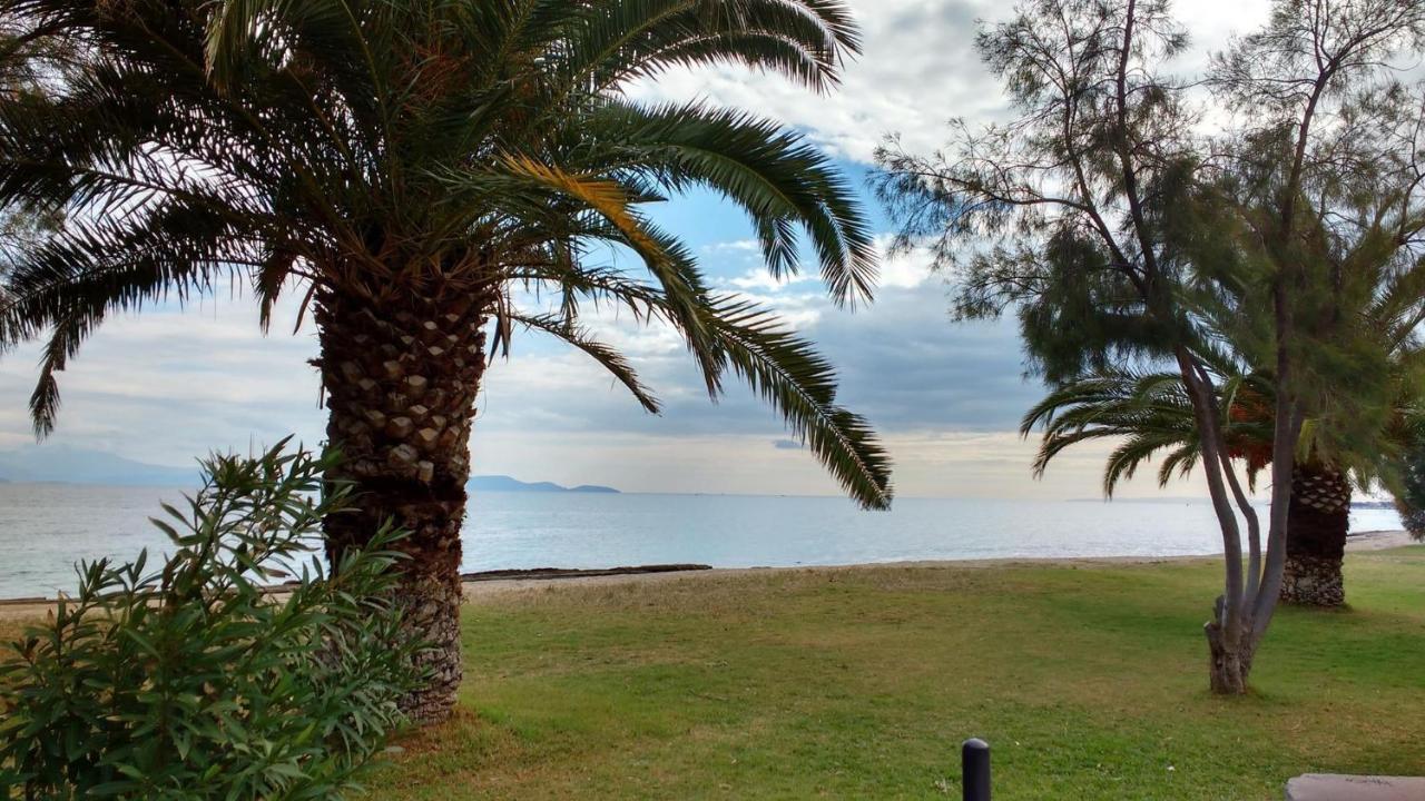 Zoumperi Cute And Cozy Close To Airport And Rafina *