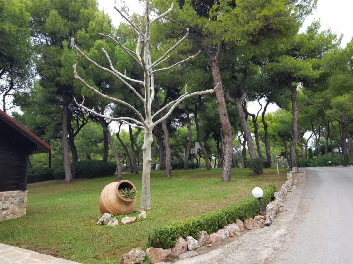 Zoumperi Cute And Cozy Close To Airport And Rafina *