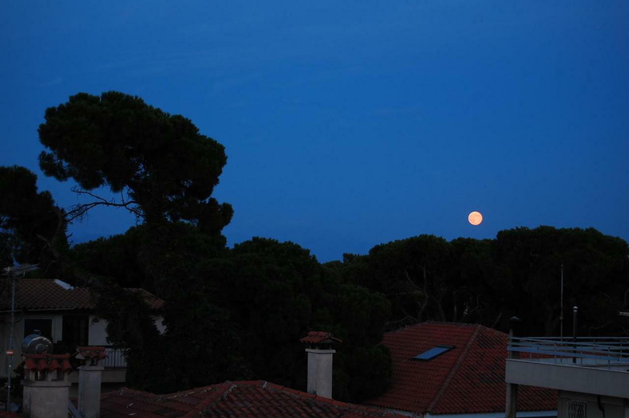 Apartment Zoumperi Cute And Cozy Close To Airport And Rafina *